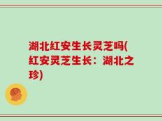 湖北红安生长灵芝吗(红安灵芝生长：湖北之珍)