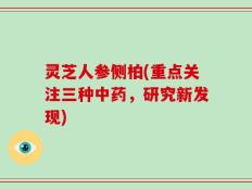 灵芝人参侧柏(重点关注三种中药，研究新发现)