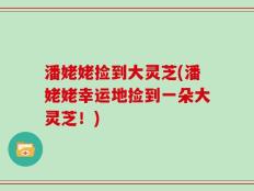 潘姥姥捡到大灵芝(潘姥姥幸运地捡到一朵大灵芝！)