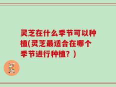 灵芝在什么季节可以种植(灵芝最适合在哪个季节进行种植？)