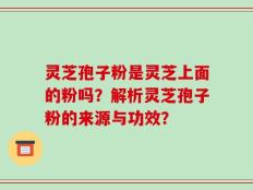 灵芝孢子粉是灵芝上面的粉吗？解析灵芝孢子粉的来源与功效？