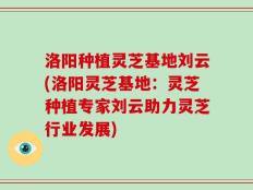 洛阳种植灵芝基地刘云(洛阳灵芝基地：灵芝种植专家刘云助力灵芝行业发展)