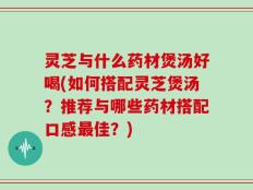 灵芝与什么药材煲汤好喝(如何搭配灵芝煲汤？推荐与哪些药材搭配口感最佳？)