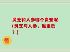 灵芝和人参哪个贵些呢(灵芝与人参，谁更贵？)