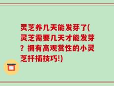 灵芝养几天能发芽了(灵芝需要几天才能发芽？拥有高观赏性的小灵芝扦插技巧!)