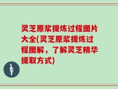 灵芝原浆提炼过程图片大全(灵芝原浆提炼过程图解，了解灵芝精华提取方式)