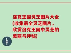 洛克王国灵芝图片大全(收集最全灵芝图片，欣赏洛克王国中灵芝的美丽与神秘)