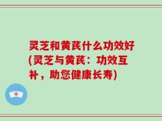 灵芝和黄芪什么功效好(灵芝与黄芪：功效互补，助您健康长寿)