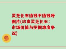 灵芝化石值钱不值钱呀图片(珍贵灵芝化石：市场价值与挖掘难度争议)