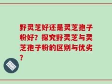 野灵芝好还是灵芝孢子粉好？探究野灵芝与灵芝孢子粉的区别与优劣？