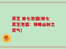 灵芝 田七泡酒(田七灵芝泡酒：领略山林之灵气)