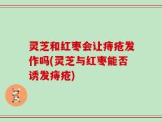 灵芝和红枣会让痔疮发作吗(灵芝与红枣能否诱发痔疮)