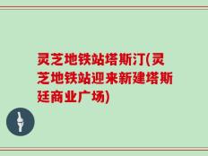 灵芝地铁站塔斯汀(灵芝地铁站迎来新建塔斯廷商业广场)