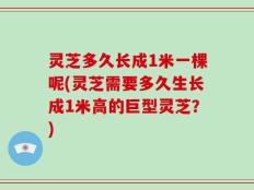 灵芝多久长成1米一棵呢(灵芝需要多久生长成1米高的巨型灵芝？)