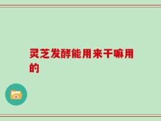 灵芝发酵能用来干嘛用的