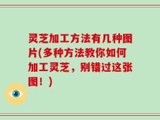 灵芝加工方法有几种图片(多种方法教你如何加工灵芝，别错过这张图！)