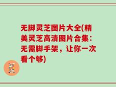 无脚灵芝图片大全(精美灵芝高清图片合集：无需脚手架，让你一次看个够)