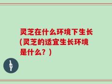 灵芝在什么环境下生长(灵芝的适宜生长环境是什么？)