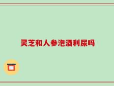灵芝和人参泡酒利尿吗