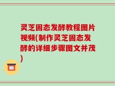 灵芝固态发酵教程图片视频(制作灵芝固态发酵的详细步骤图文并茂)