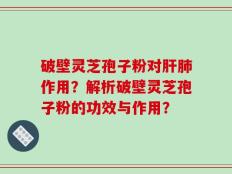 破壁灵芝孢子粉对肝肺作用？解析破壁灵芝孢子粉的功效与作用？
