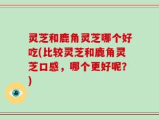灵芝和鹿角灵芝哪个好吃(比较灵芝和鹿角灵芝口感，哪个更好呢？)