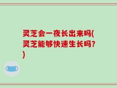 灵芝会一夜长出来吗(灵芝能够快速生长吗？)