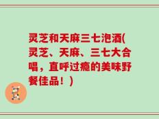 灵芝和天麻三七泡酒(灵芝、天麻、三七大合唱，直呼过瘾的美味野餐佳品！)