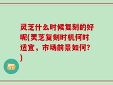 灵芝什么时候复刻的好呢(灵芝复刻时机何时适宜，市场前景如何？)