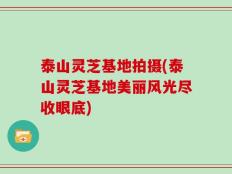 泰山灵芝基地拍摄(泰山灵芝基地美丽风光尽收眼底)