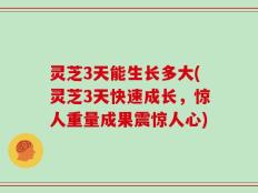 灵芝3天能生长多大(灵芝3天快速成长，惊人重量成果震惊人心)