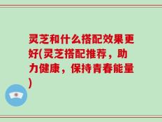 灵芝和什么搭配效果更好(灵芝搭配推荐，助力健康，保持青春能量)