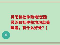 灵芝和杜仲熟地泡酒(灵芝和杜仲熟地泡出美味酒，有什么好处？)
