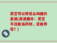 灵芝可以养花么吗图片高清(高清图片：灵芝不仅能当药材，还能养花？)