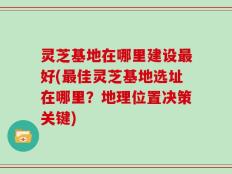 灵芝基地在哪里建设最好(最佳灵芝基地选址在哪里？地理位置决策关键)