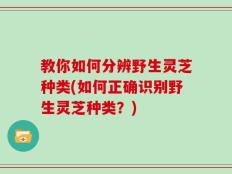 教你如何分辨野生灵芝种类(如何正确识别野生灵芝种类？)