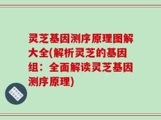 灵芝基因测序原理图解大全(解析灵芝的基因组：全面解读灵芝基因测序原理)