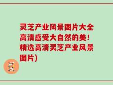 灵芝产业风景图片大全高清感受大自然的美！精选高清灵芝产业风景图片)