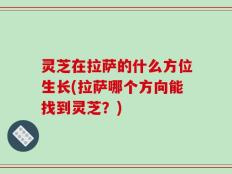 灵芝在拉萨的什么方位生长(拉萨哪个方向能找到灵芝？)