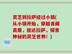 灵芝到拉萨经过小镇(从小镇开始，穿越青藏高原，抵达拉萨，探索神秘的灵芝世界！)