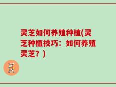 灵芝如何养殖种植(灵芝种植技巧：如何养殖灵芝？)