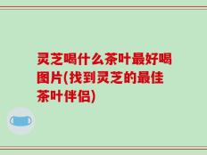 灵芝喝什么茶叶最好喝图片(找到灵芝的最佳茶叶伴侣)