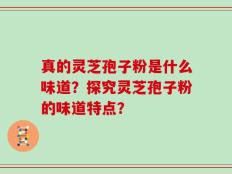 真的灵芝孢子粉是什么味道？探究灵芝孢子粉的味道特点？