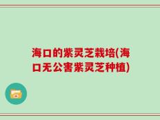 海口的紫灵芝栽培(海口无公害紫灵芝种植)