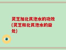 灵芝加北芪泡水的功效(灵芝和北芪泡水的益处)