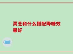灵芝和什么搭配降糖效果好