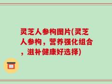 灵芝人参枸图片(灵芝人参枸，营养强化组合，滋补健康好选择)