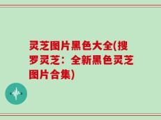 灵芝图片黑色大全(搜罗灵芝：全新黑色灵芝图片合集)
