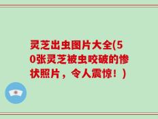 灵芝出虫图片大全(50张灵芝被虫咬破的惨状照片，令人震惊！)