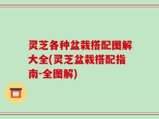 灵芝各种盆栽搭配图解大全(灵芝盆栽搭配指南-全图解)